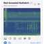 Haikubox 24/7 Bird & Bat Identifier