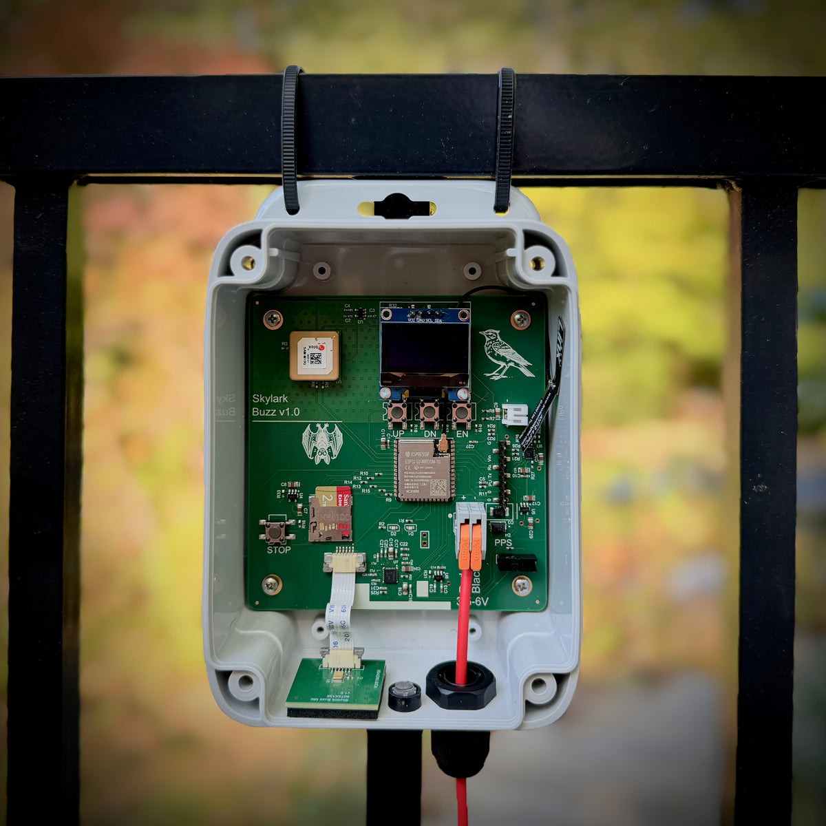 Skylark Buzz: Haikubox Pro