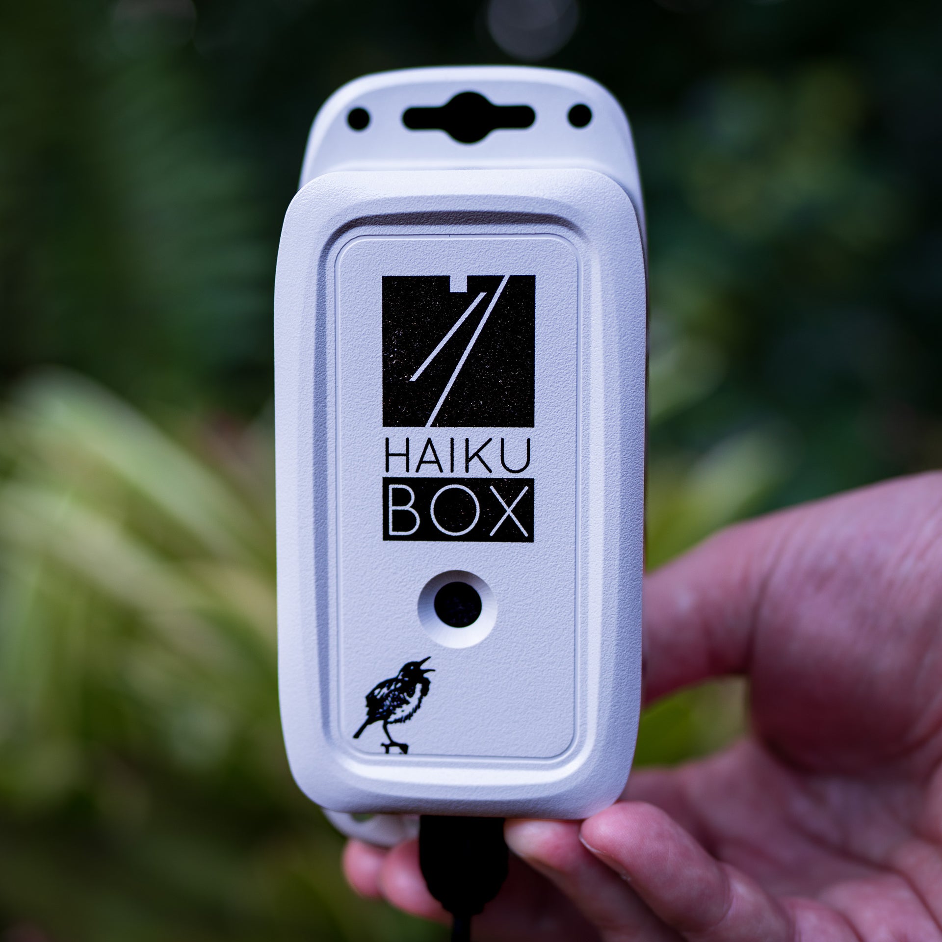 Haikubox: 24/7 Birdsong Identifier Haikubox: 24/7 Birdsong Identifier