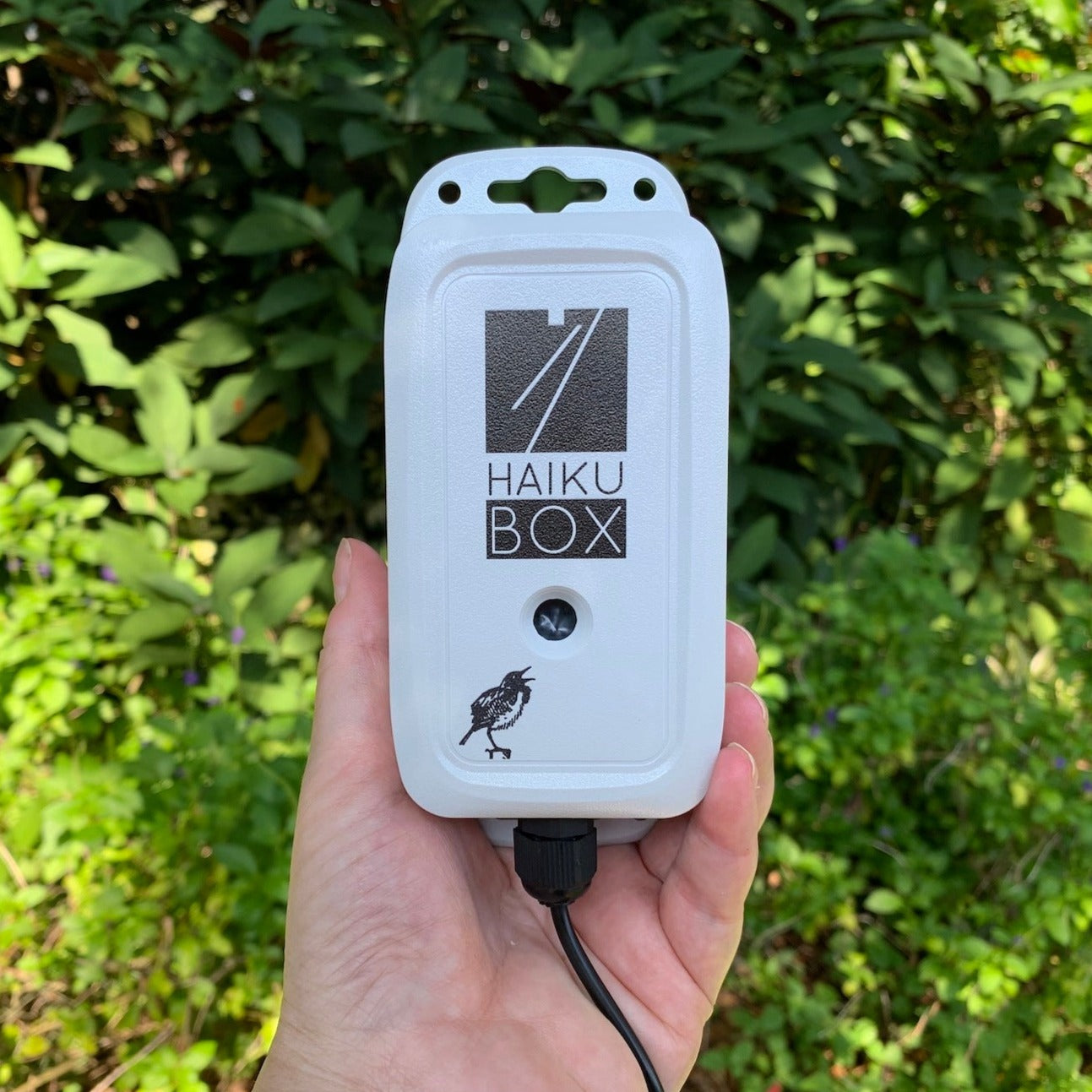 Haikubox for birdsong identification and data collection