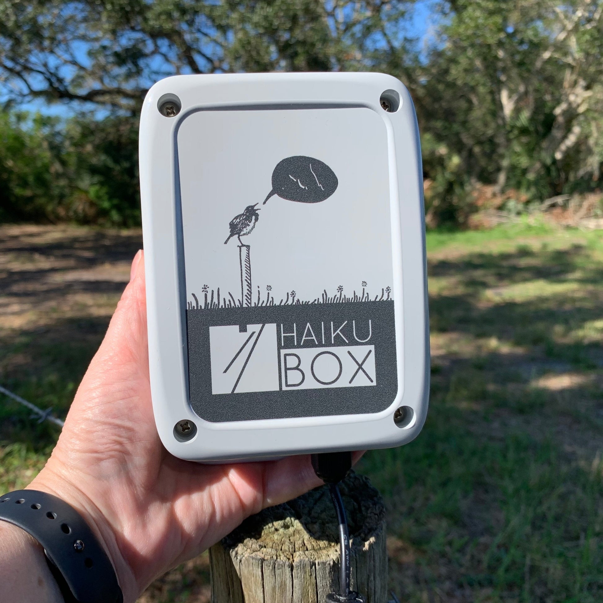 Haikubox a hand sized device to identify birdsong