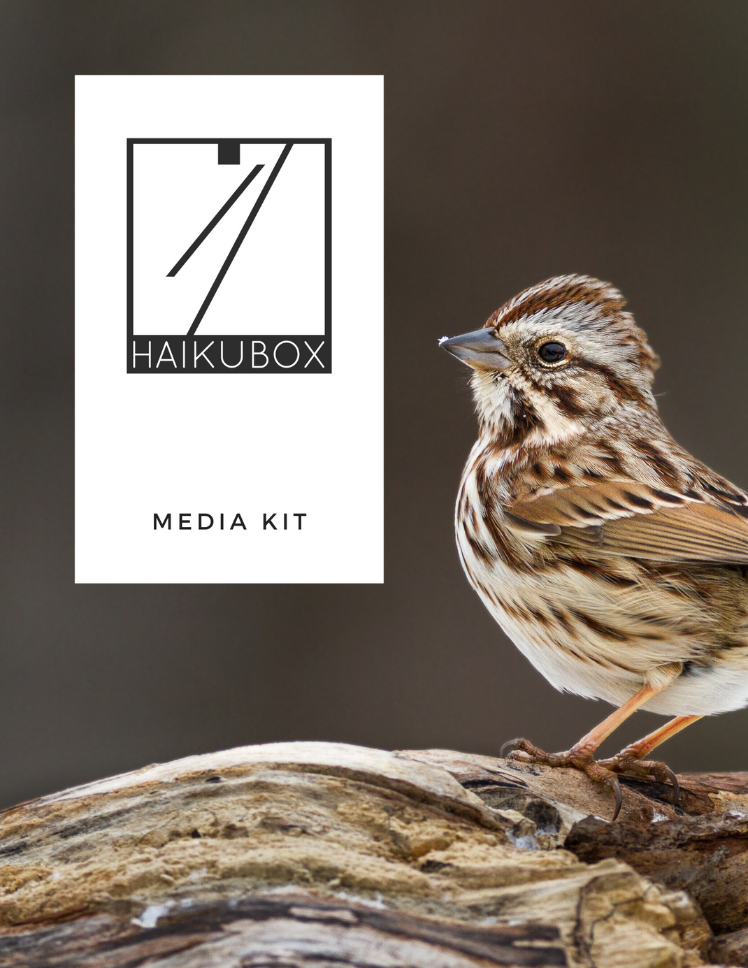 Media Kit| Haikubox, Bird Call Recognition App