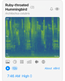 Haikubox: 24/7 Birdsong Identifier