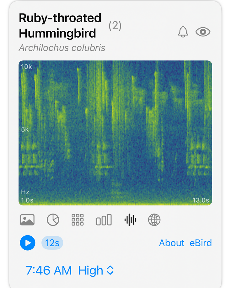 Haikubox: 24/7 Birdsong Identifier