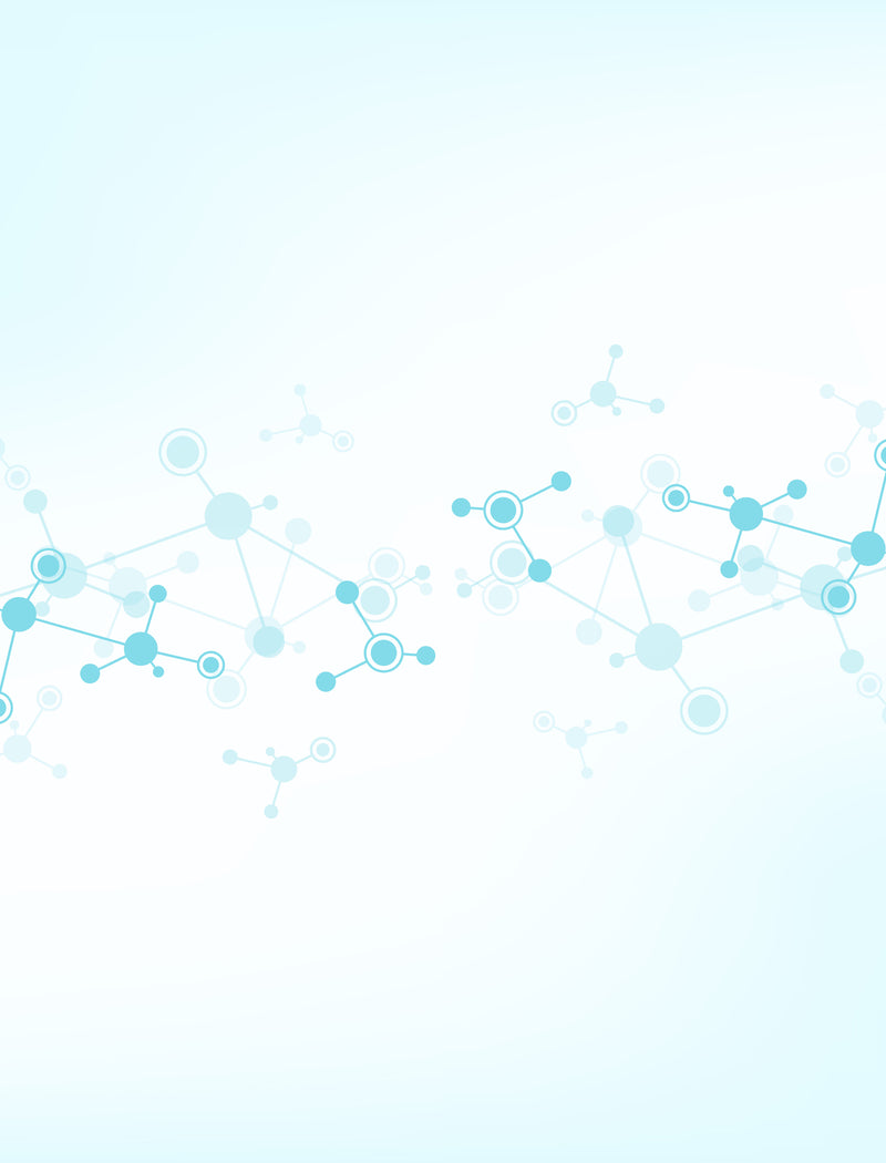 Image of nerual net
