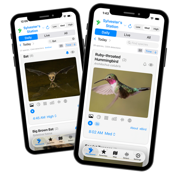 Haikubox 24/7 Bird & Bat Identifier