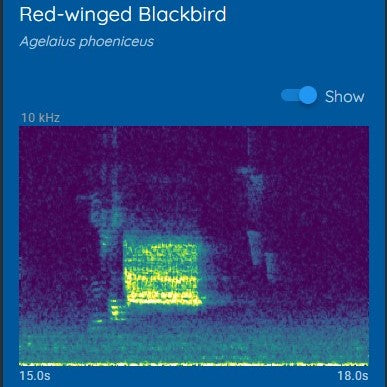 Haikubox: 24/7 Birdsong Identifier