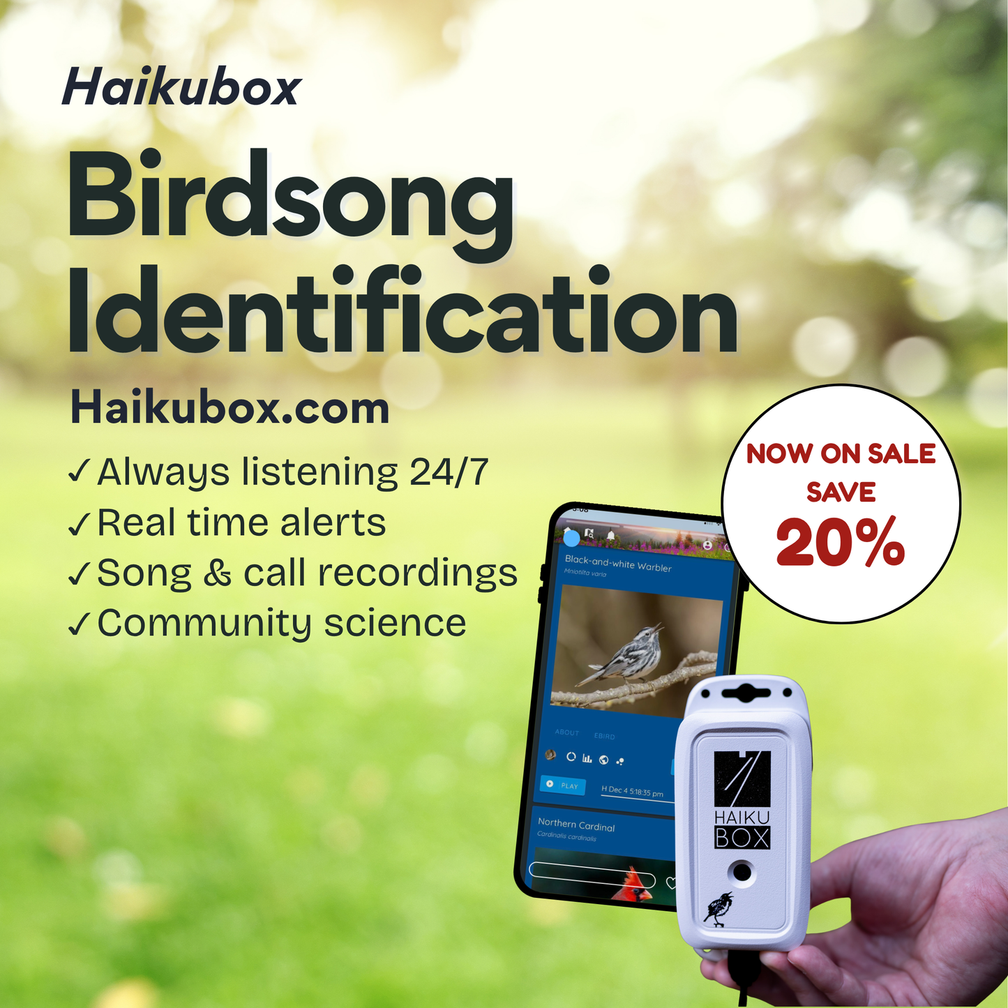 Haikubox + 1-year subscription