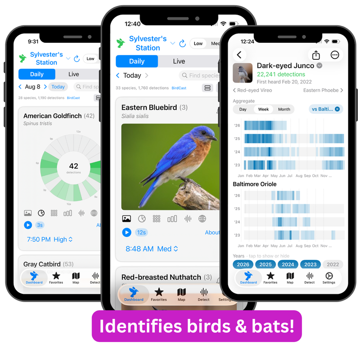 Skylark: Haikubox Pro for Remote Sites
