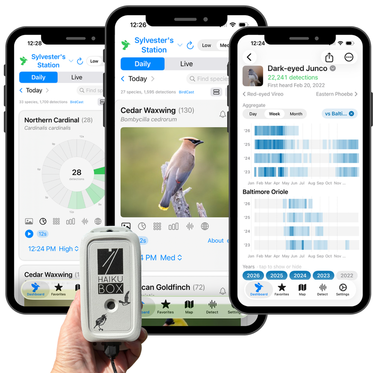 Haikubox 24/7 Bird & Bat Identifier