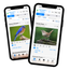Haikubox: 24/7 Birdsong Identifier