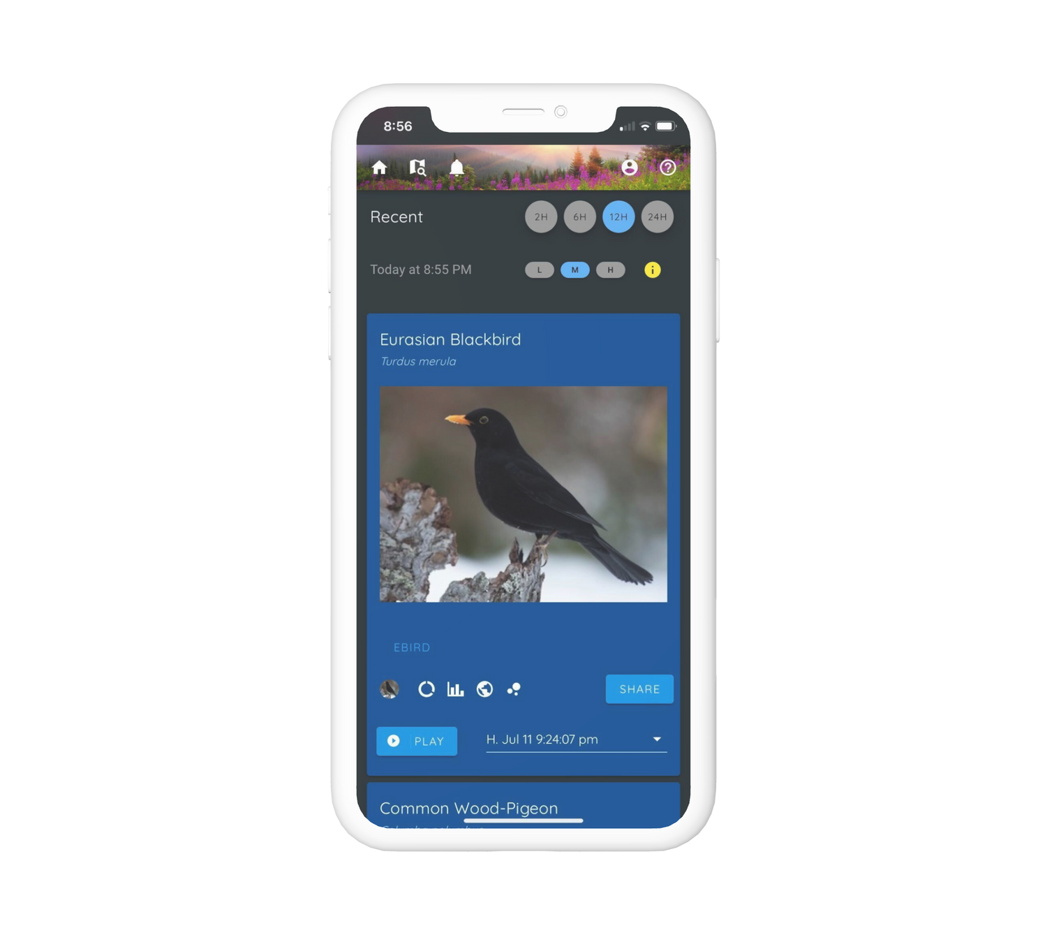 Haikubox app showing identified bird